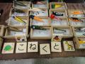 DSC00246_r.JPG